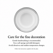 RESONG Erya Ringed Deep Plate — dimensions, composition or care information 6; AI-assisted image