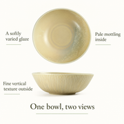DXC Oatmeal Shallow Bowl — 7 Inch — dimensions, composition or care information 5; AI-assisted image