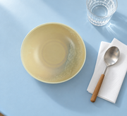 DXC Oatmeal Shallow Bowl — 7 Inch — styled use illustration; props and additional pieces excluded 8; AI-assisted image