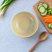 DXC Oatmeal Shallow Bowl — 7 Inch — styled use illustration; props and additional pieces excluded 10; AI-assisted image