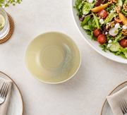 DXC Oatmeal Shallow Bowl — 7 Inch — styled use illustration; props and additional pieces excluded 11; AI-assisted image
