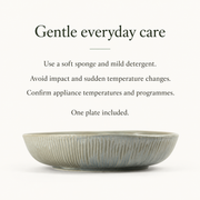 DXC Mist Gray Deep Serving Plate — dimensions, composition or care information 6; AI-assisted image